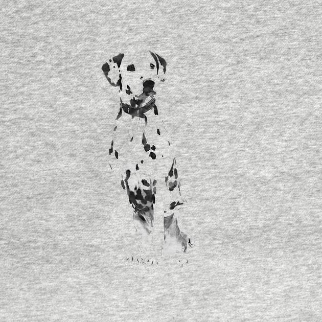 Dalmatian dog by Creative at home